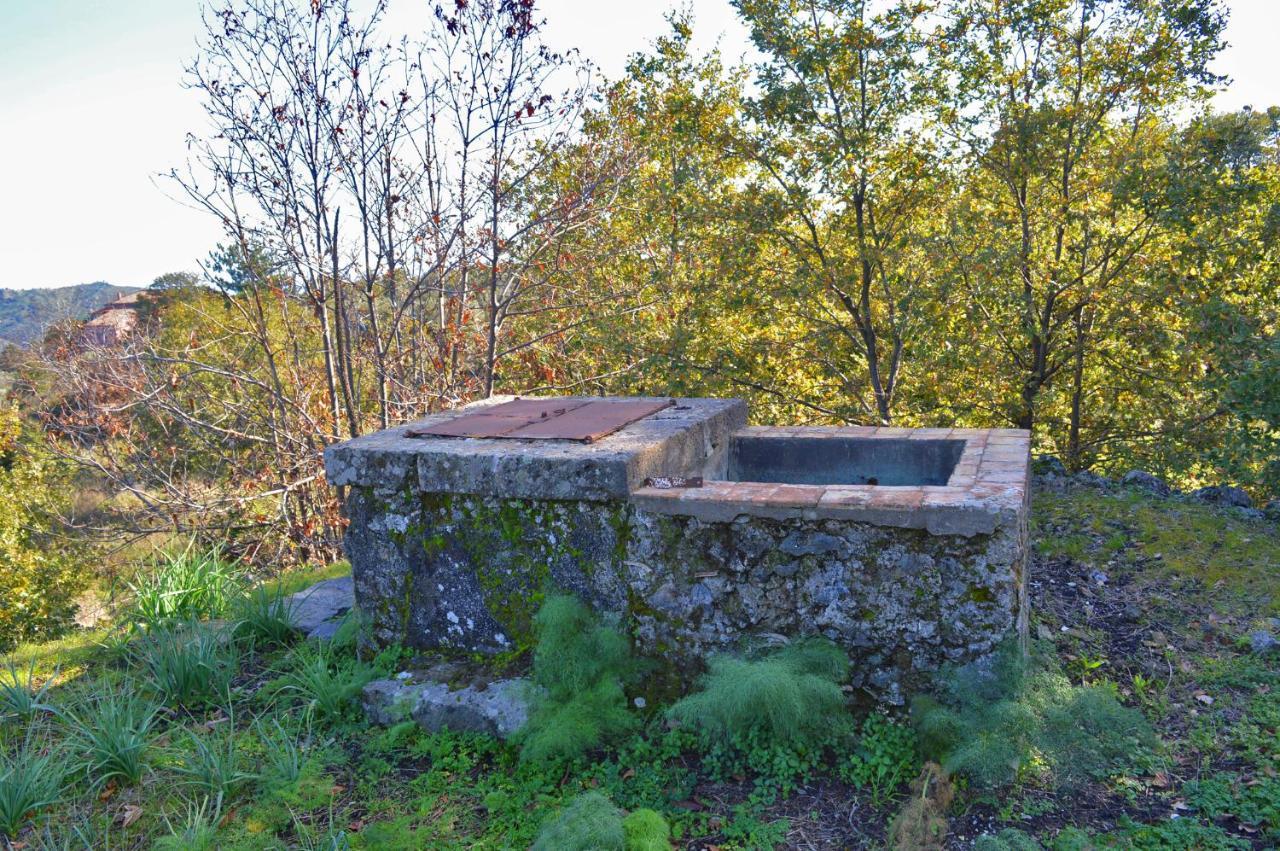 Agriturismo Kikajon リングアグロッサ エクステリア 写真